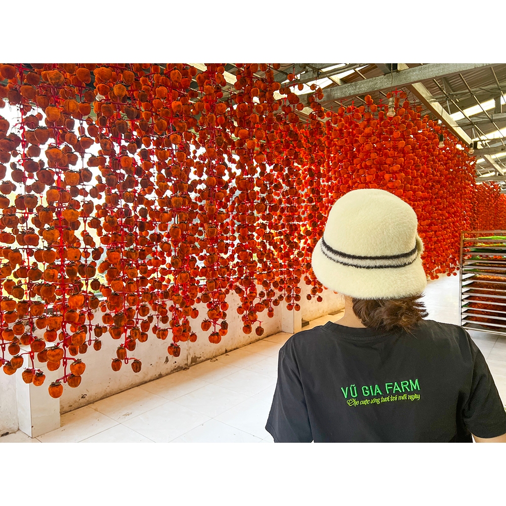 VG FARM Hồng Treo Gió Kem Vip  Đà Lạt - đặc sản mùa thu Đà Lạt