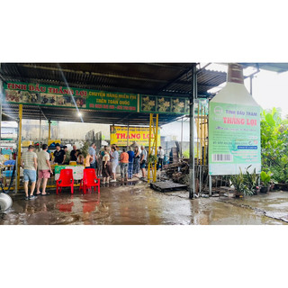 Tinh dầu Tràm Thắng Lợi 80ml