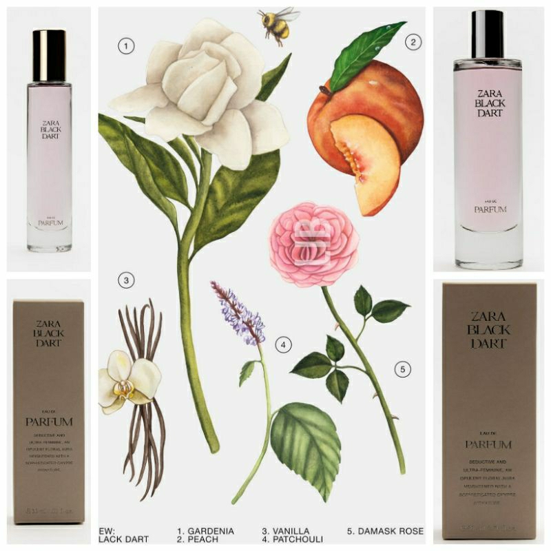CÁC MẪU NƯỚC HOA ZARA BÁN CHẠY