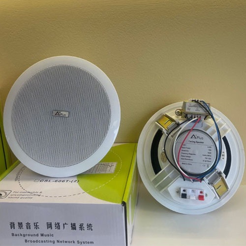 Loa âm trần 5-10W Bass sâu tresst sáng dành cho spa - cafe - nhà hàng - cửa hàng quần áo - văn phòng siêu hay