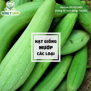 Hạt giống mướp, mướp hương các loại Rạng Đông, mướp hương, mướp hương trái dài, mướp khía