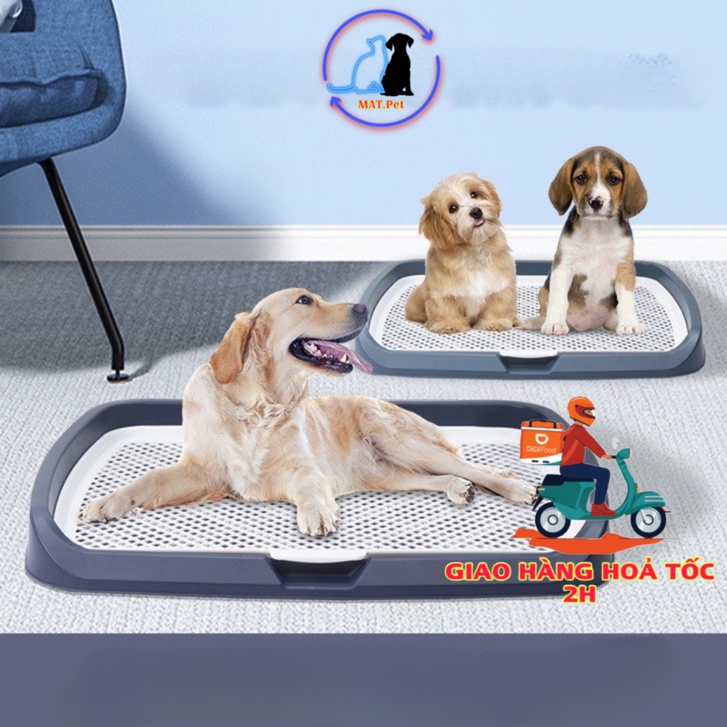 Khay vệ sinh cho chó size lớn L:65*50cm- Khay hướng dẫn cún đi vệ sinh TẶNG CỌ.C