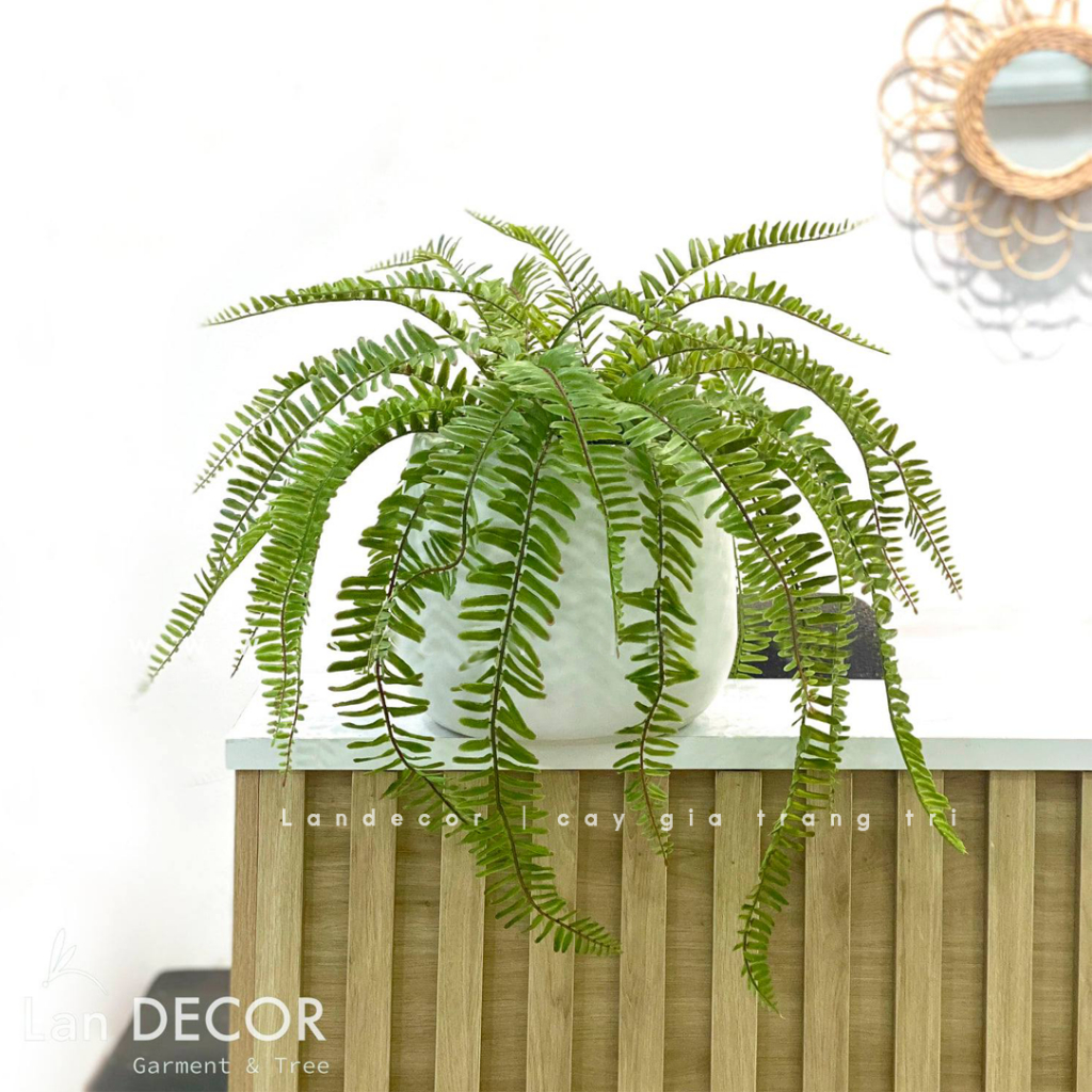 Cây dương xỉ giả - Cây giả decor trang trí nội thất nhà đẹp tự nhiên, phù hợp với không gian văn phòng, quán cafe.