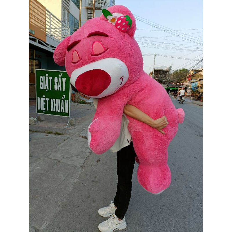 Gấu Bông Gấu Lotso Dâu, Gấu Dâu Gấu Lotso Nằm Ngủ Dễ Thương Tina.vn 65cm-1m1