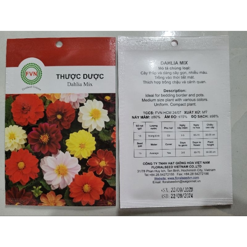 Hạt giống hoa thược dược nhiều màu FVN gói 15 hạt