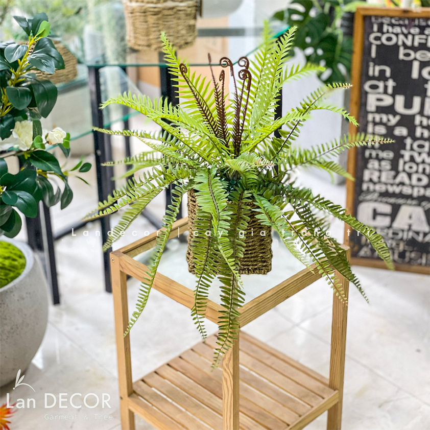 Cây dương xỉ giả - Cây giả decor trang trí nội thất nhà đẹp tự nhiên, phù hợp với không gian văn phòng, quán cafe.