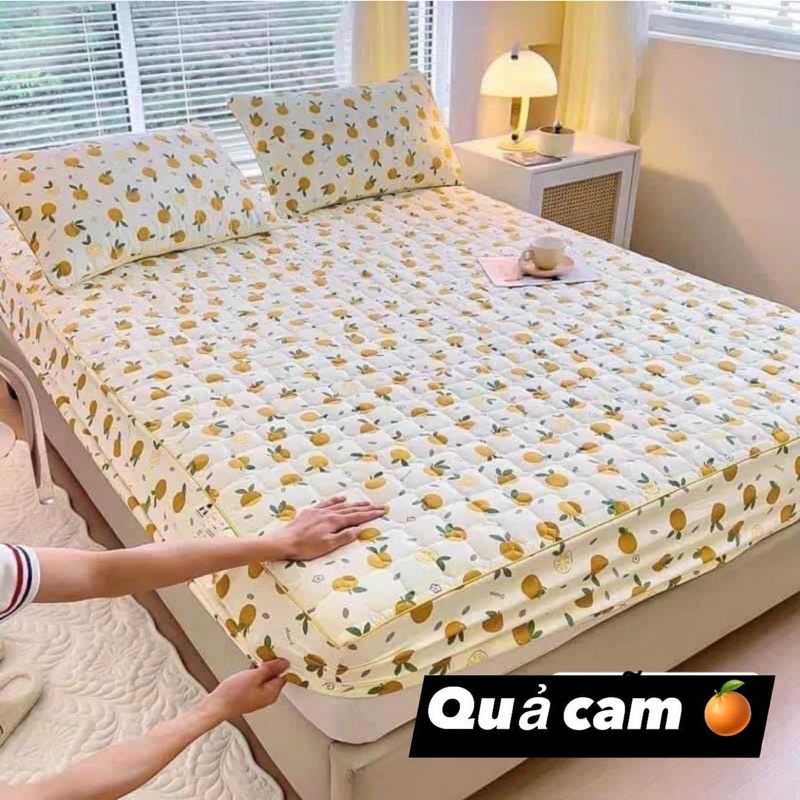 GA GỐI ĐŨI XƠ ĐẬU NÀNH