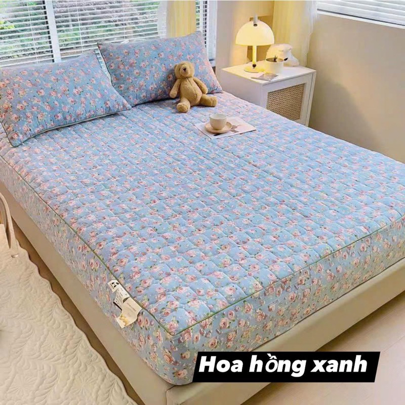 GA GỐI ĐŨI XƠ ĐẬU NÀNH