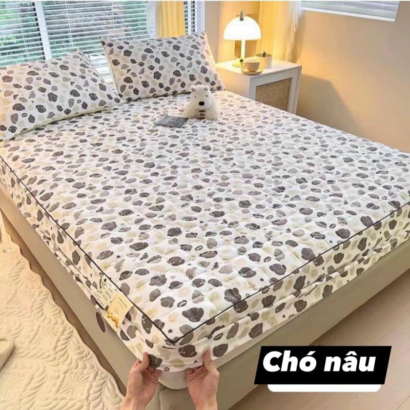 GA GỐI ĐŨI XƠ ĐẬU NÀNH