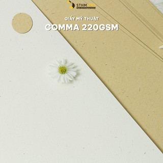 Xấp 10 tờ Giấy mỹ thuật Comma white/beige 220gsm - A4+ 215x320mm - In postcard, thư cảm ơn, in ảnh - [STHM PPS]
