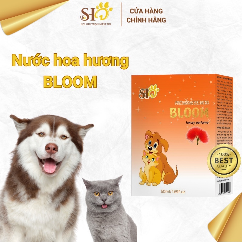 NƯỚC HOA CAO CẤP HƯƠNG HOA QUÝT - BLOOM CHÓ MÈO