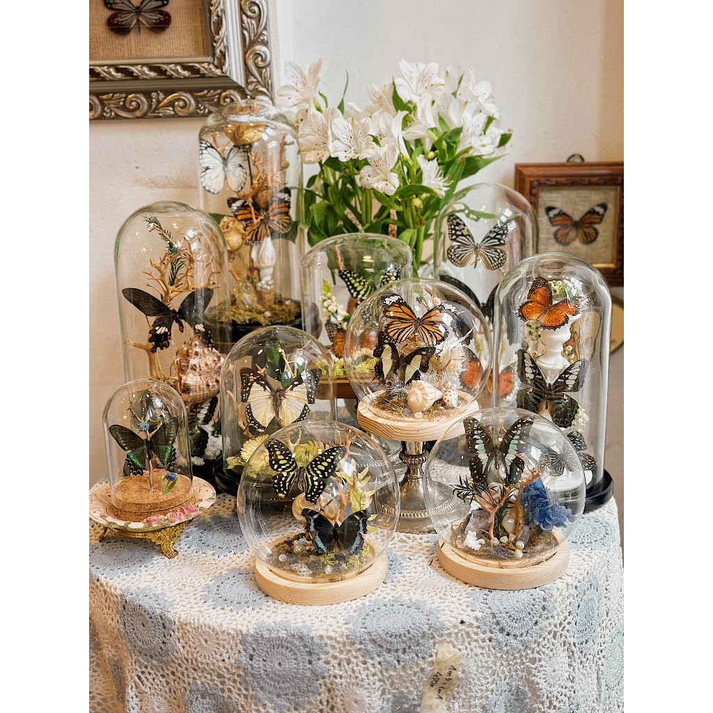 𝐁𝐮𝐭𝐭𝐞𝐫𝐟𝐥𝐲 𝐓𝐚𝐱𝐢𝐝𝐞𝐫𝐦𝐲  🧚