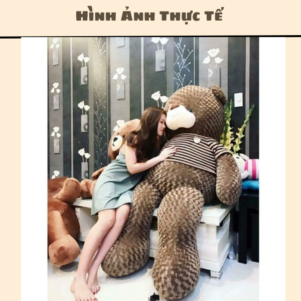 Gấu Bông Teddy To 180 Cm ❤️𝑯𝒂̀𝒏𝒈 𝑪𝒂𝒐 𝑪𝒂̂́𝒑❤️ Gấu Bông To Gấu Bông Hình Thú Siêu To Khổng Lồ Vừa Ôm Thoải Chubby Gấu Bông