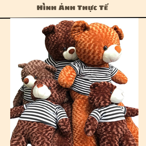 Gấu Bông Teddy To 180 Cm ❤️𝑯𝒂̀𝒏𝒈 𝑪𝒂𝒐 𝑪𝒂̂́𝒑❤️ Gấu Bông To Gấu Bông Hình Thú Siêu To Khổng Lồ Vừa Ôm Thoải Chubby Gấu Bông
