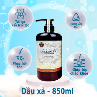 Dầu gội& 𝗫𝗮̉ 𝗖𝗼𝗹𝗹𝗮𝗴𝗲𝗻 giúp tóc mềm mượt