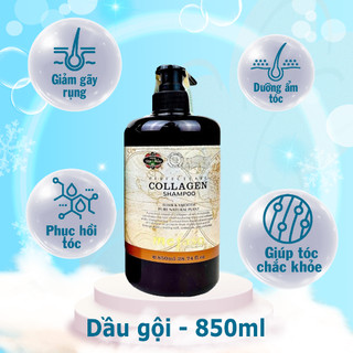 Dầu gội& 𝗫𝗮̉ 𝗖𝗼𝗹𝗹𝗮𝗴𝗲𝗻 giúp tóc mềm mượt
