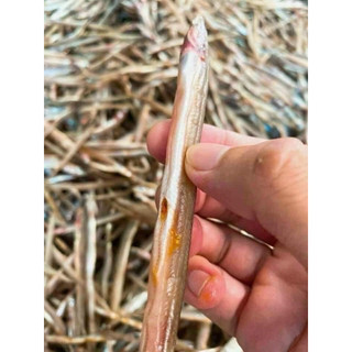 khô cá sụn sịn (500gram)