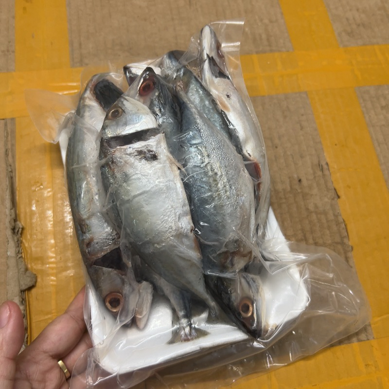 Cá bạc Má tươi ngon làm sạch cấp đông 1kg