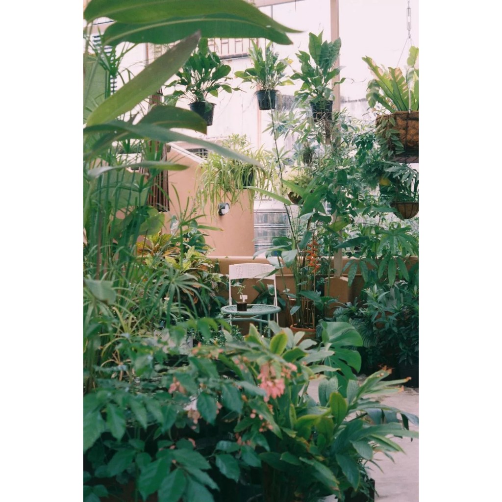 - Film 135  giá rẻ, box giấy lẻ & mới, hàng US