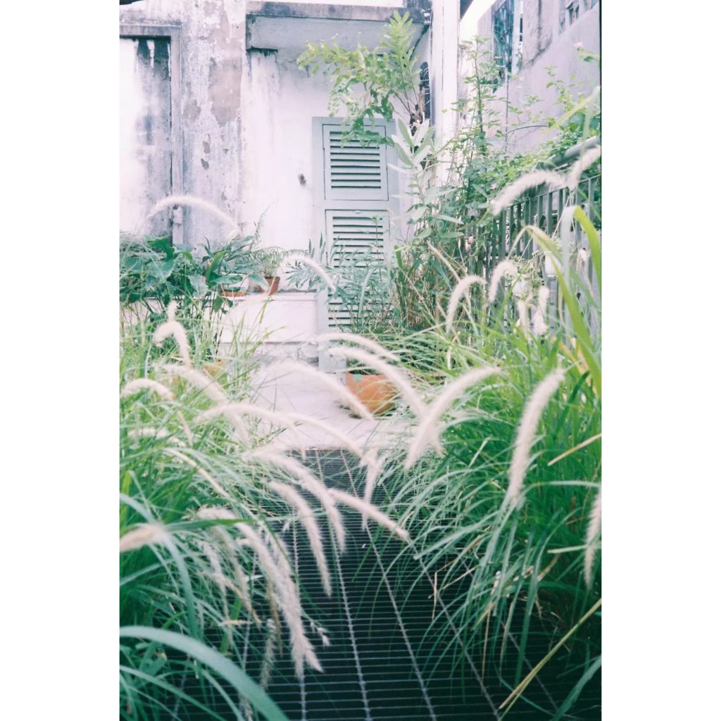 - Film 135  giá rẻ, box giấy lẻ & mới, hàng US