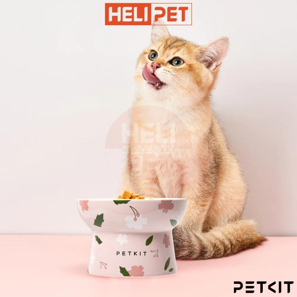 Chén Ăn, Bát Ăn Cho Chó Mèo Chống Gù Làm Từ Gốm Sứ Cao Cấp Ceramic PETKIT Cera Spot