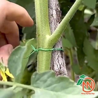 Dây Cột Lan Có Lưỡi Cắt, Dây Kẽm Có Lưỡi Cắt Lõi Kẽm Bọc Nhựa, Dây Buộc Cây Có Lưỡi Cắt