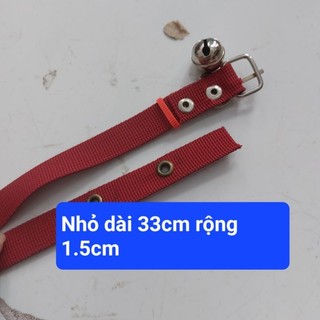 Dây đai đeo cổ chó,mèo