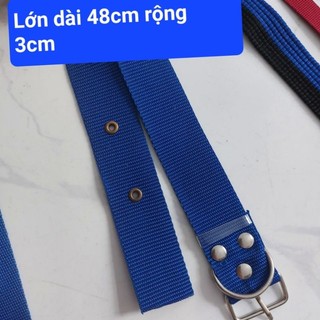 Dây đai đeo cổ chó,mèo