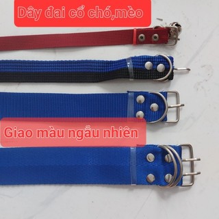 Dây đai đeo cổ chó,mèo