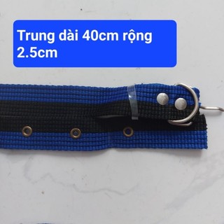 Dây đai đeo cổ chó,mèo