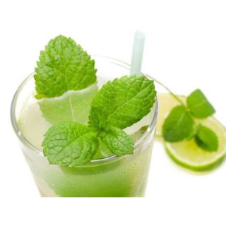 Hạt Giống Bạc Hà Chanh Lemon Balm (134)