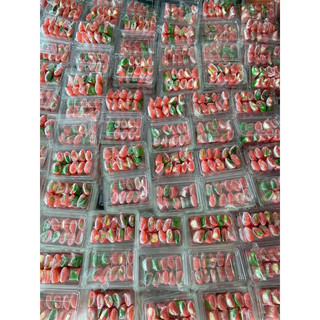 5 hộp Nem chua Lai Vung (50nem)