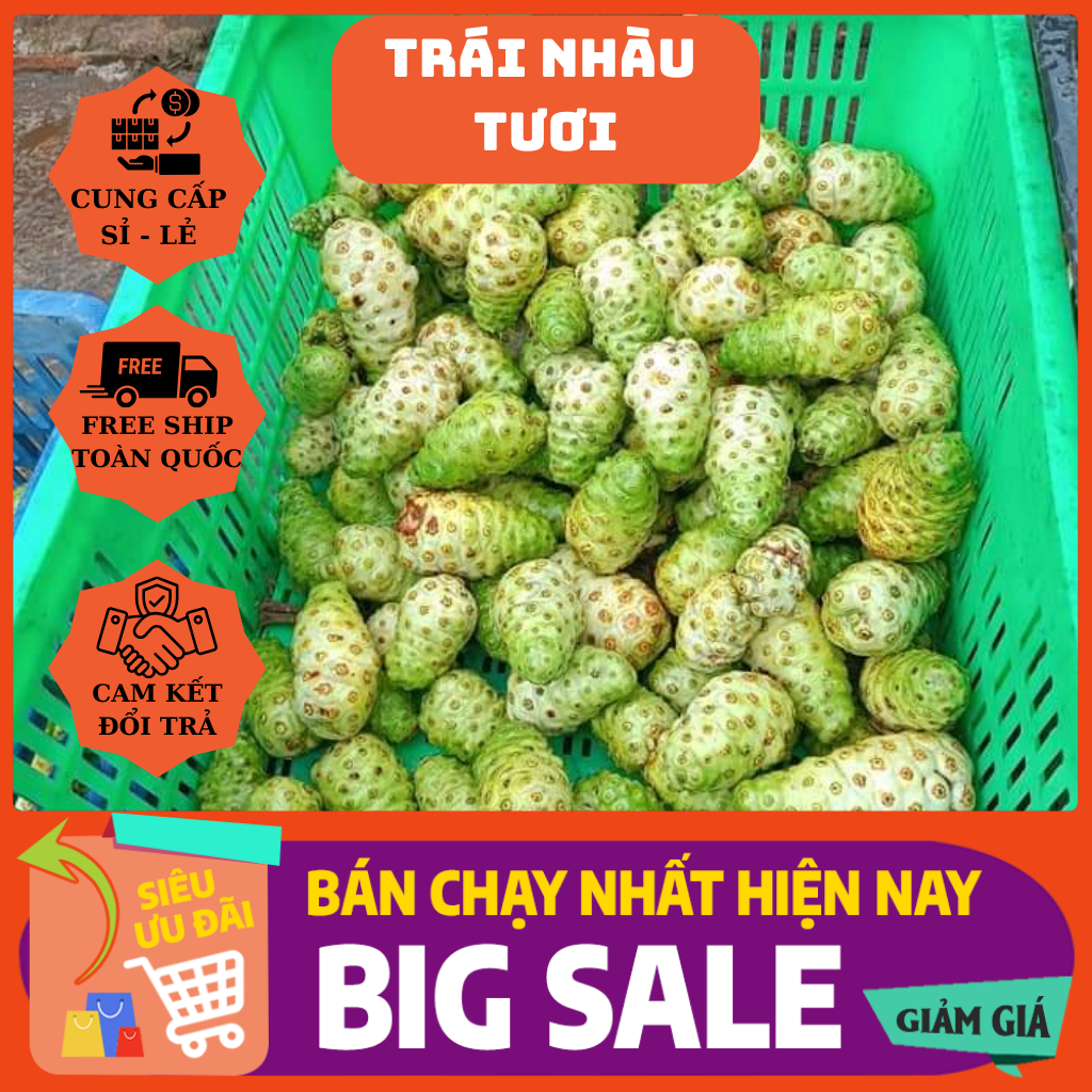 " Gía rẻ nhất" 2kg Trái Nhàu Tươi Ngâm Đường Phèn- TẶNG BÌNH NGÂM. Nhắn tin cho shop trước khi đặt nhé.
