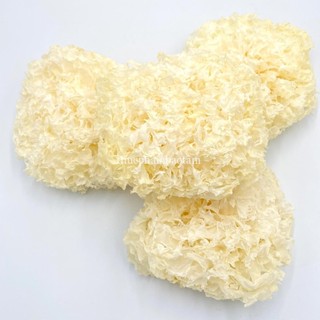 Nấm tuyết khô túi 50g