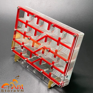 Tank Kiến Tổ Kiến Mở Rộng Nest Cho Kiến Nhà Cho Kiến Formicarium Ant Nest