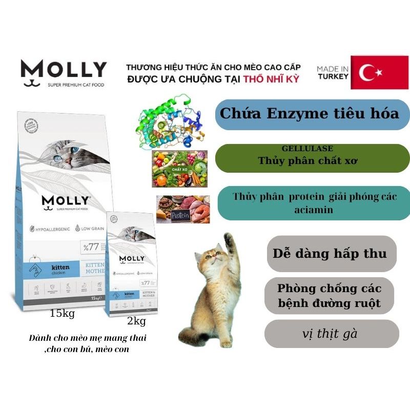 MoLLy Hạt Cho Mèo Con, Mèo Mẹ Mang Thai, Cho Con Bú Gói 100g, 500g Nhập Thổ Nhĩ Kỳ
