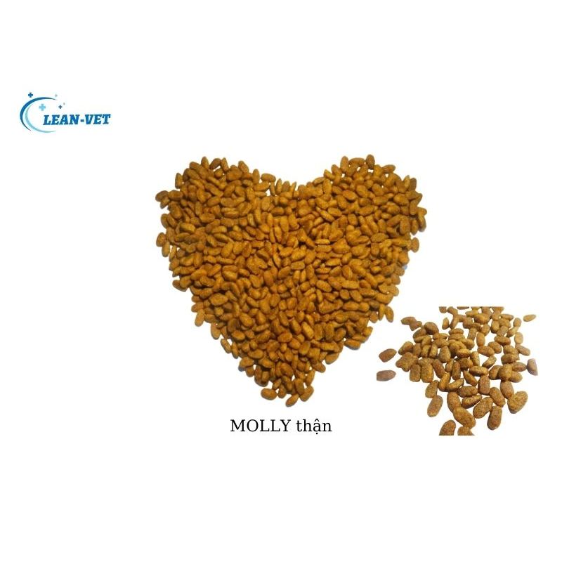 MoLLy Hạt Cho Mèo Con, Mèo Mẹ Mang Thai, Cho Con Bú Gói 100g, 500g Nhập Thổ Nhĩ Kỳ