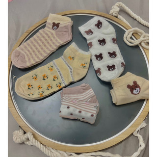 [Set 5 đôi tất gấu nâu]