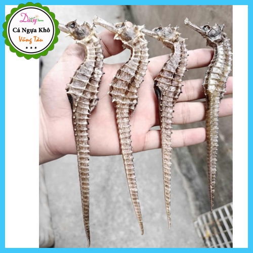 Cá Ngựa Khô Vũng Tàu  do Tàu Cá nhà Mình đánh bắt ở Vùng Biển Côn Đảo