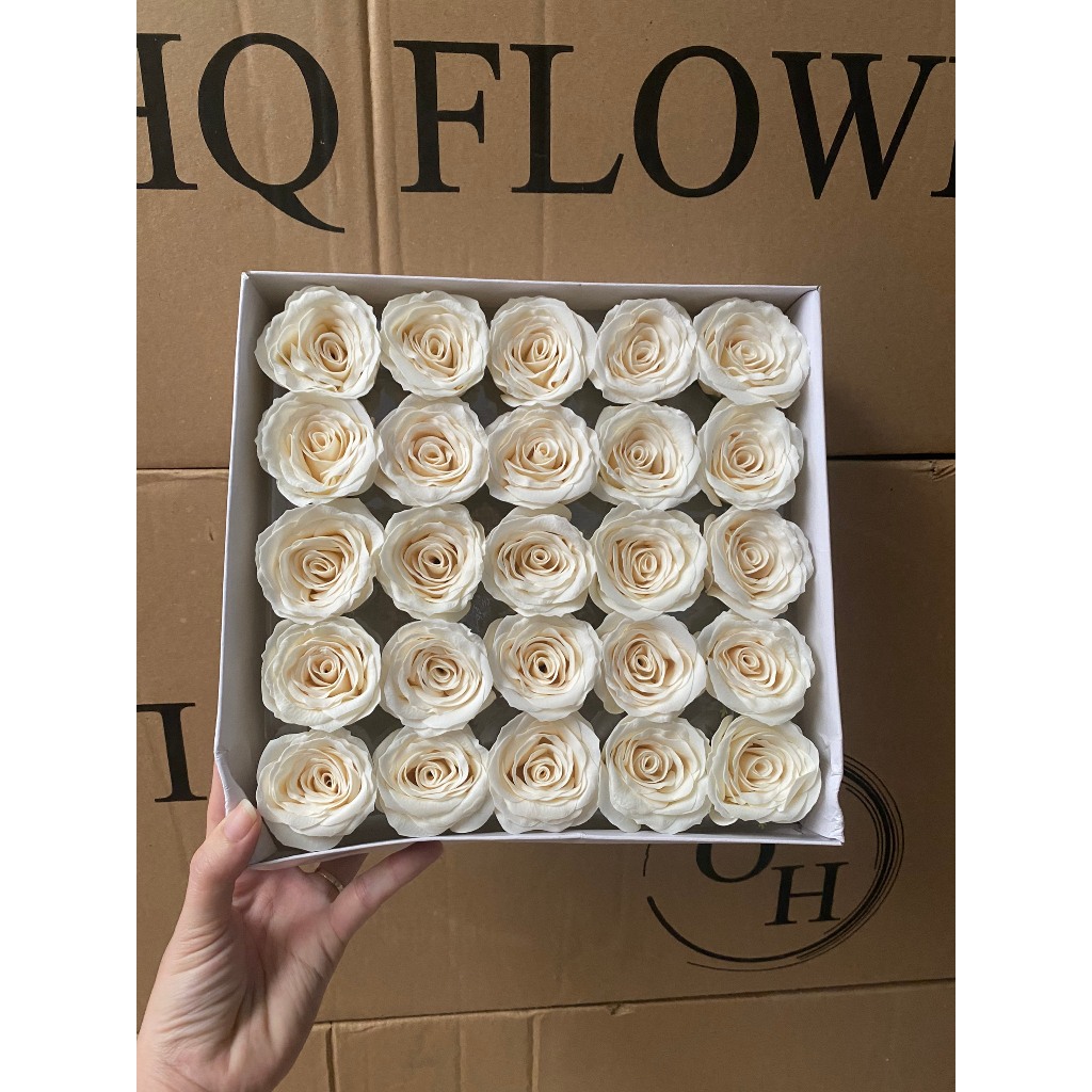 Hoa Hồng Sáp Ecuador Hộp 25 Bông