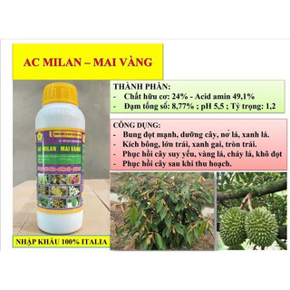 Ac Milan Mai Vàng 500ml