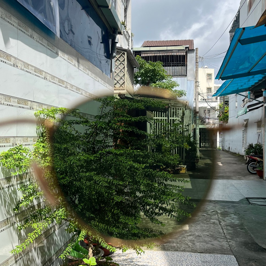 Kính Rayban Form Mắt Tròn Xanh Rau Muống, Chuôi Vàng, Vè Đục Size 53