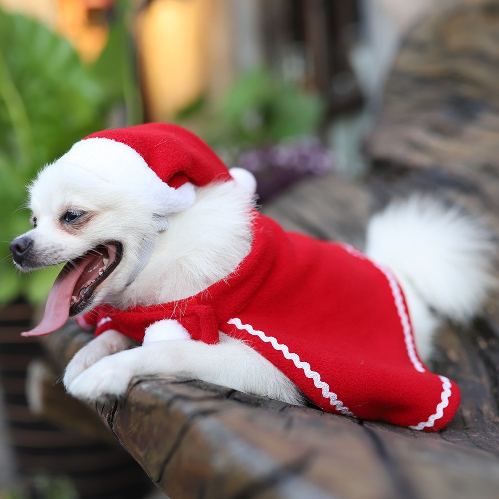 Bộ Áo Nón Noel Dành cho Thú Cưng Mừng Noel Giáng Sinh
