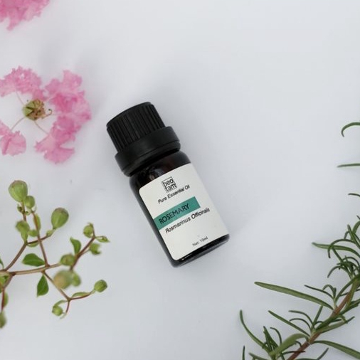 Tinh dầu Rosemary Hương Thảo Bèo Tấm - Kích mọc tóc, Thơm phòng, khuếch tán, giúp tỉnh táo, tập trung, giảm stress