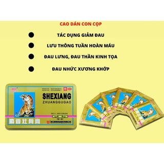 COMBO 10 BỊCH CAO DÁN CON CỌP 5 CHỮ - BỊCH 4 MIẾNG DÁN