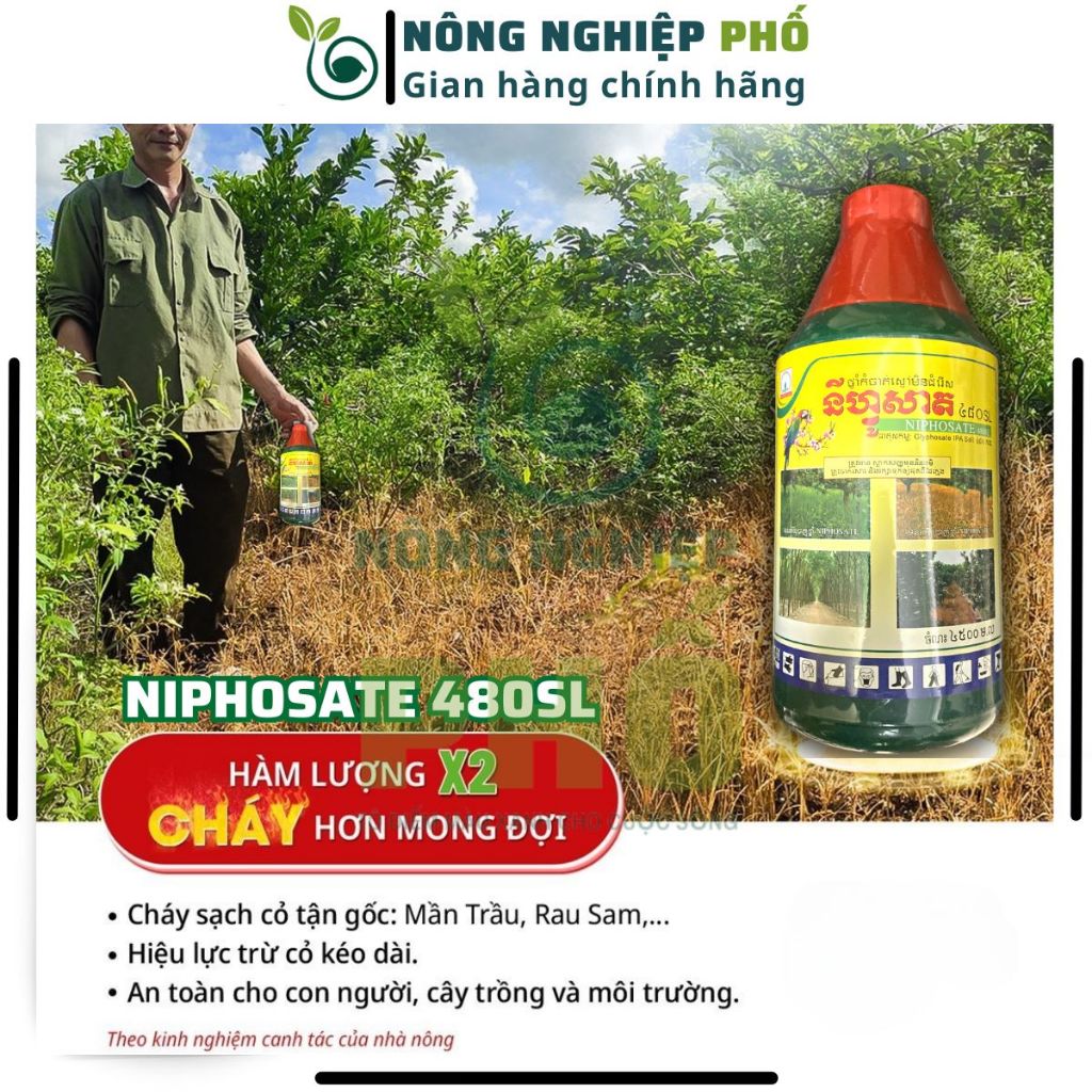 Thuốc trừ cỏ lưu dẫn, không chọn lọc Niphosate 480SL Multiagro chai lớn 900ml, Diệt tận gốc cỏ tranh, cỏ ống, cỏ gấu