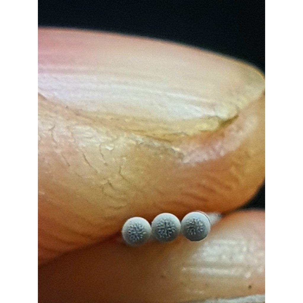 Ngòi bút S - Pen cho Samsung Note 10/Note 20/Tab