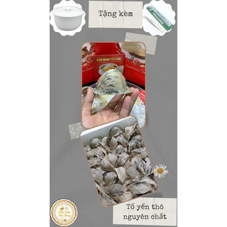 Yến tổ thô sạch tai lớn già 50g / 100g