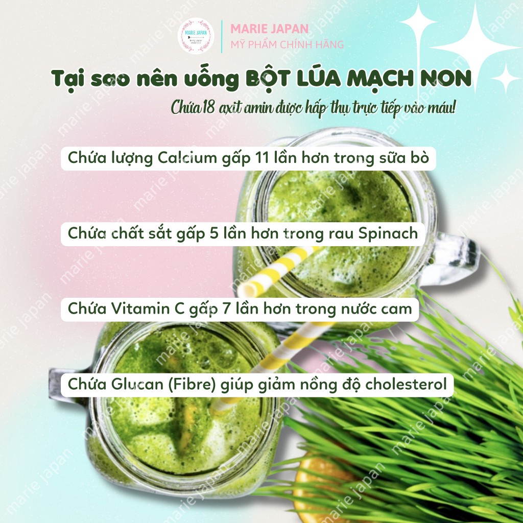 Bột lúa mạch non Grass Barley Nhật Bản