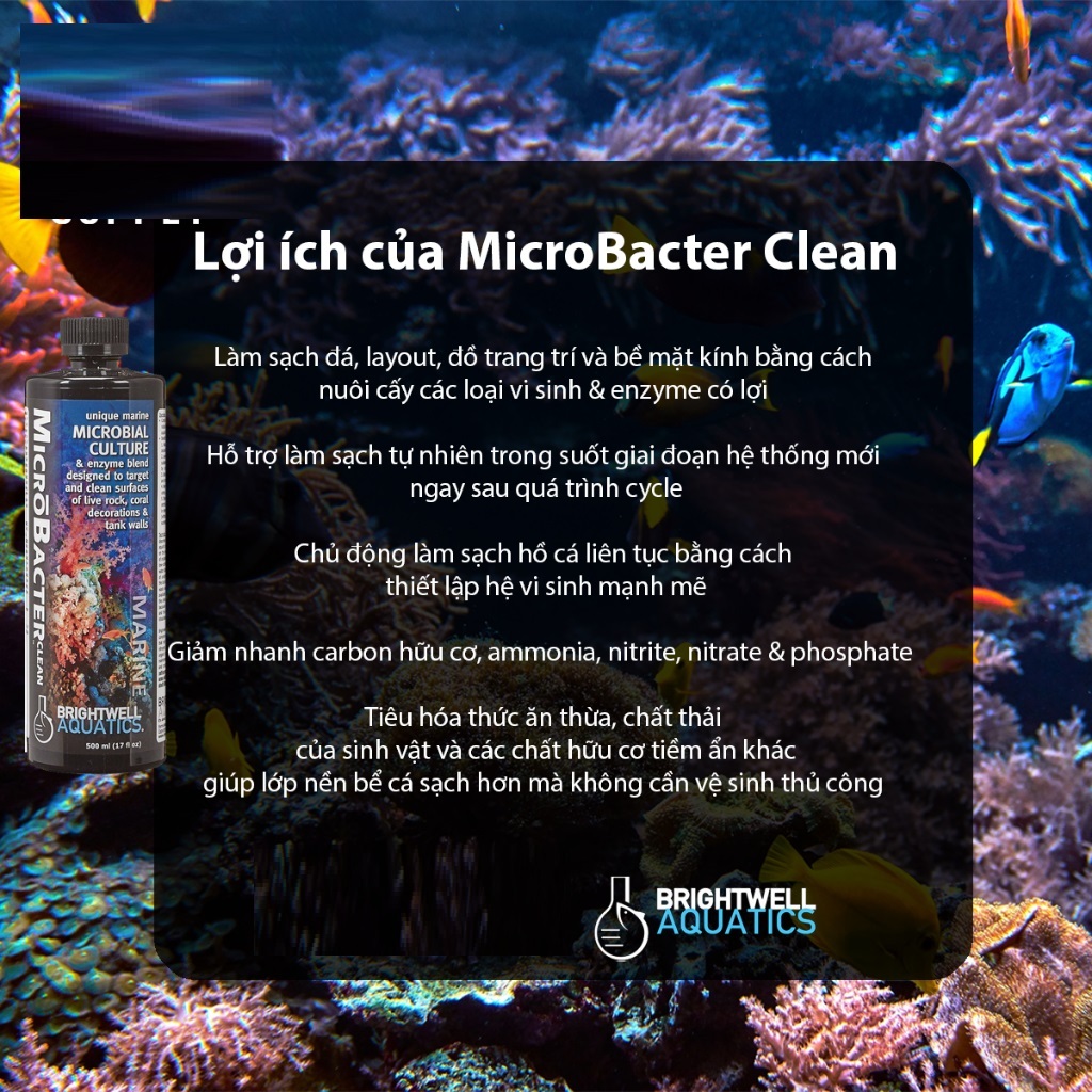 Vi sinh MicroBacter 7, thức ăn vi sinh Reef BioFuel và Vi sinh MICROBACTER CLEAN cho hồ cá biển, bể nước mặn